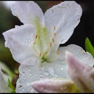 Meet your Posher, Ma